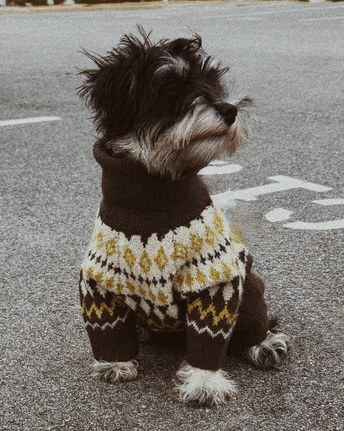 Cozy patterned dog sweater inspired by traditional fair isle designs, ideal for daily wear, loved by dachshunds and cavapoos