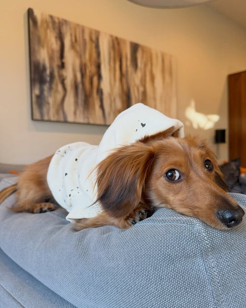 Bradley Ivory Paint Splatter Short Sleeve Dog Hoodie