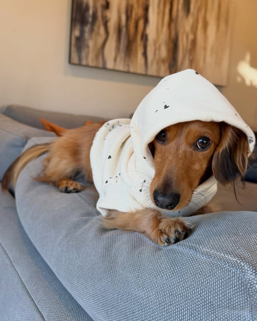 Bradley Ivory Paint Splatter Short Sleeve Dog Hoodie