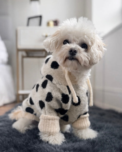 Venice Ivory + Black Polka Dot Dog Hoodie