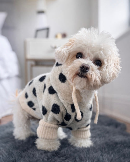 Venice Ivory + Black Polka Dot Dog Hoodie