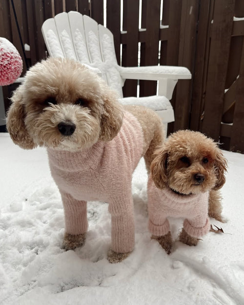 Bobbi Blush Eyelash Knit Dog Sweater