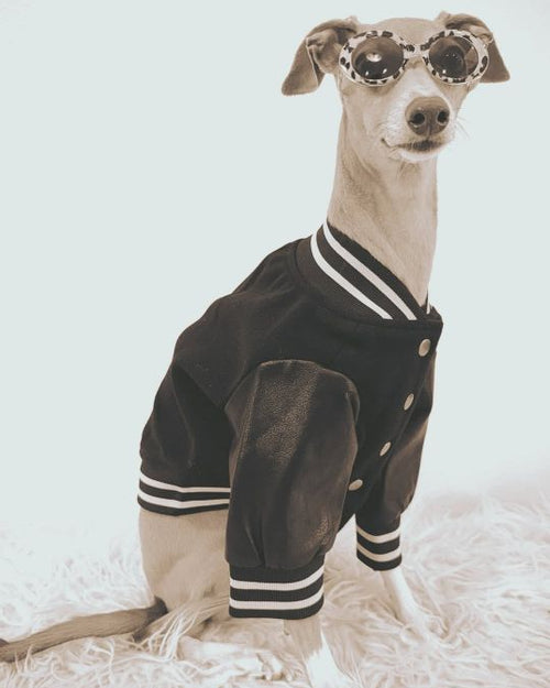 Leader of the Pack Black Letterman Jacket