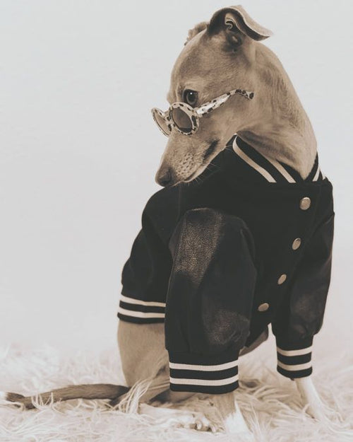 Leader of the Pack Black Letterman Jacket