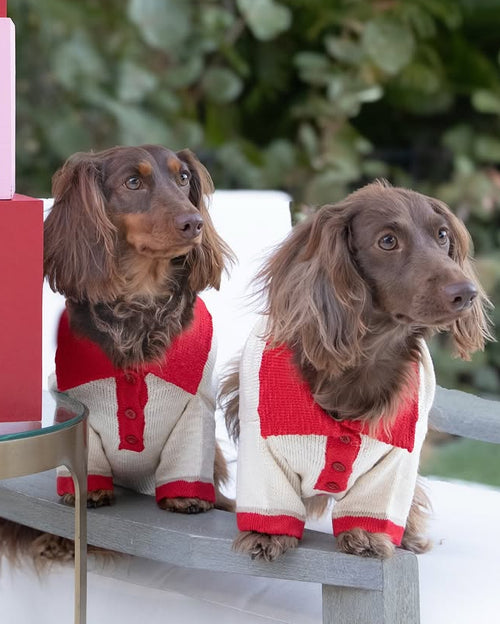 Collar Me Maybe Polo Sweater