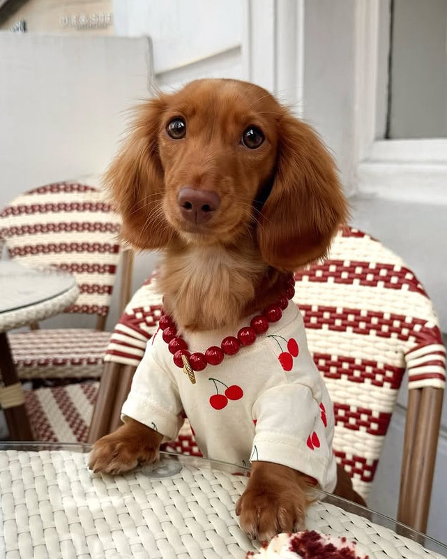 Adorable Cherry Dog T-Shirt – FURB