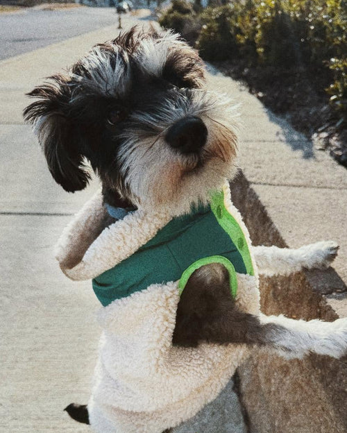 Cabin Critter Neon Green Sherpa Dog Vest