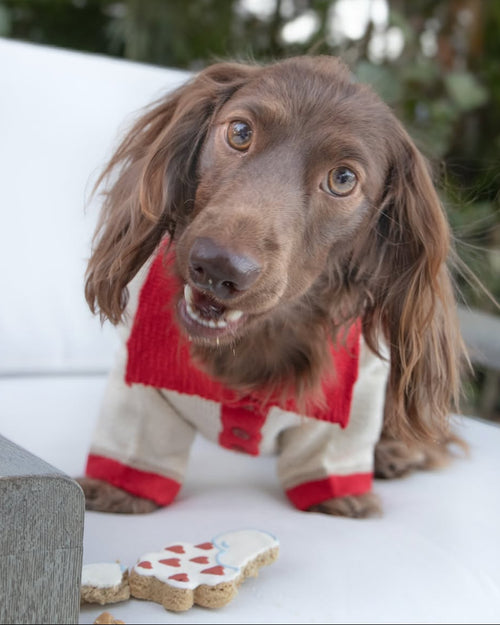 Collar Me Maybe Polo Sweater