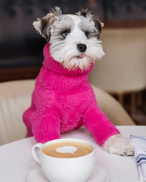 Bobbi Hot Pink Eyelash Knit Dog Sweater