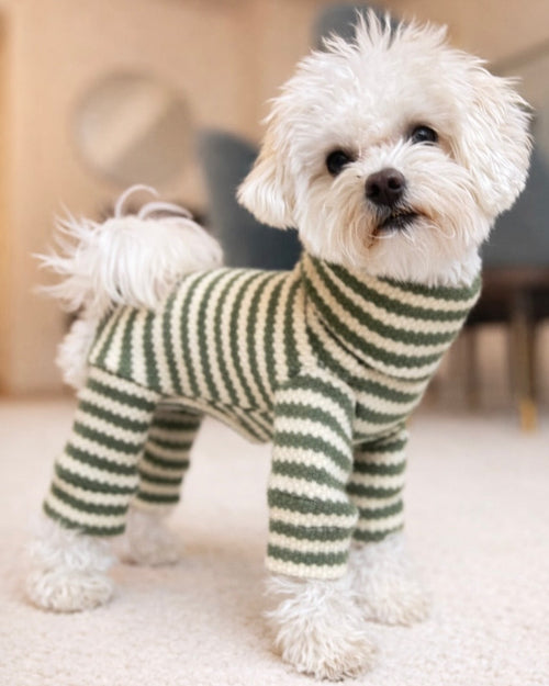 Charli Green + Ivory Dog Onesie