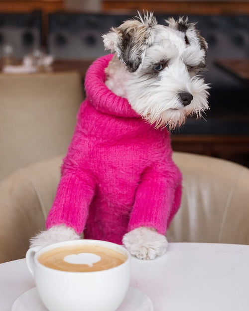 Bobbi Hot Pink Eyelash Knit Dog Sweater