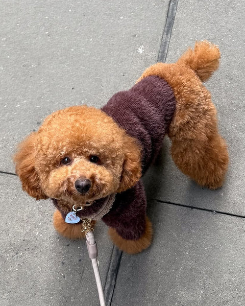 Bobbi Chocolate Eyelash Knit Dog Sweater