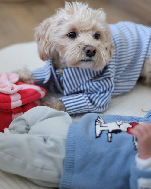 Nantucket Blue + White Striped Button Up