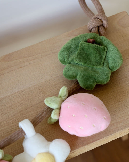 Off the Vine Strawberry Snuffle Rope Toy