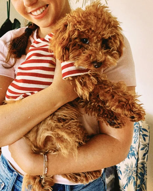 Playful Pooch Red + Ivory Striped Dog T-Shirt