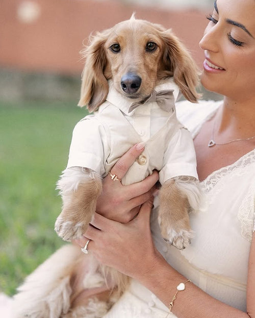 We Do Wedding Three-fer Button Up