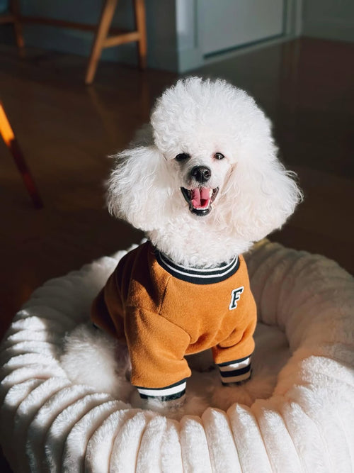 FURB University Brown Sweatshirt