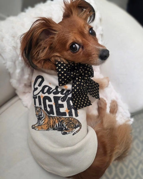 Easy Tiger Dog Sweatshirt