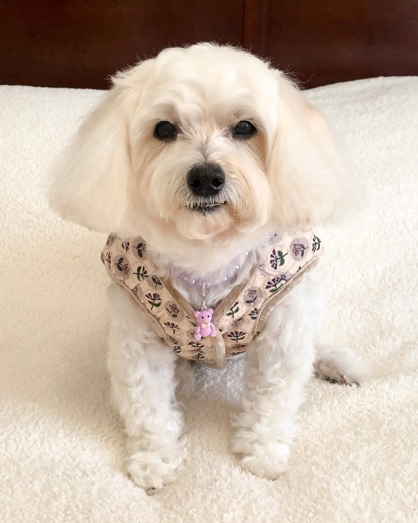 Quilted Velvet Creamy White Floral Dog Vest | FURB