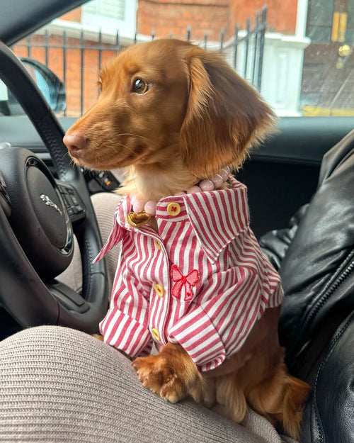 Nantucket Red + White Striped Button Up