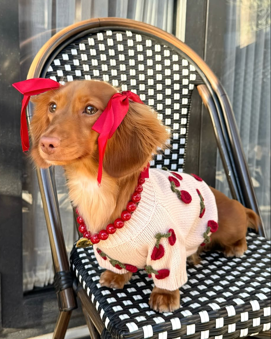 Blush Cherry Applique Sweater | Adorable, Affordable Dog Sweater