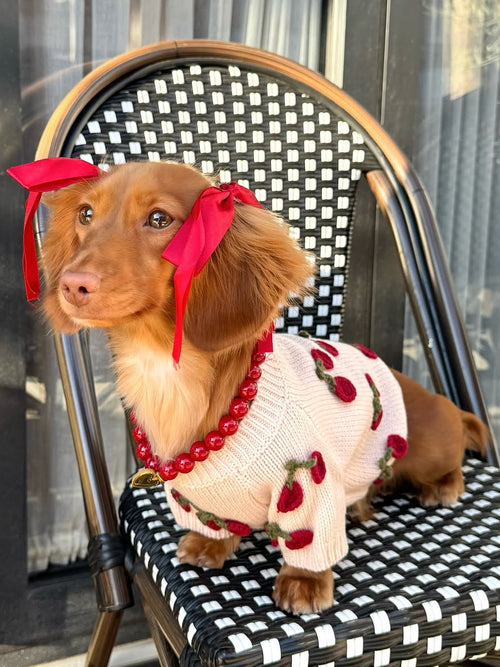 Polished Pup Red Dog Necklace