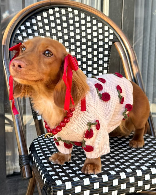 blush cherry knit sweater dog outfit lightweight cozy clothing with embroidered cherry design