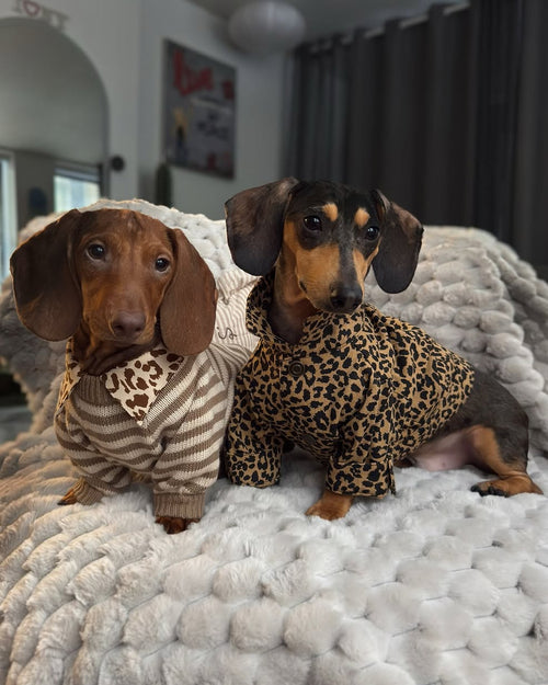 Like A Bandit Nutmeg Striped Dog Sweater