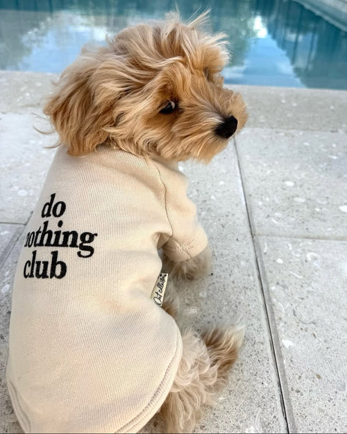 Do Nothing Club Dog Sweatshirt