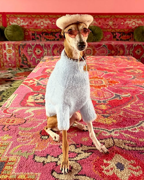 Trendy pastel blue dog sweater with soft fuzzy knit texture, ideal for cozy indoor lounging and outings