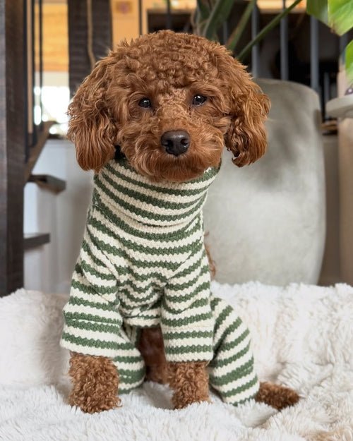 Charli Green + Ivory Dog Onesie