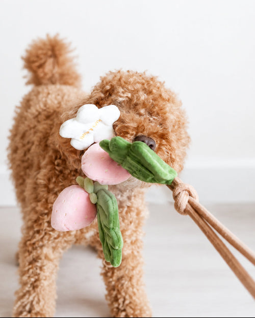 Off the Vine Strawberry Snuffle Rope Toy