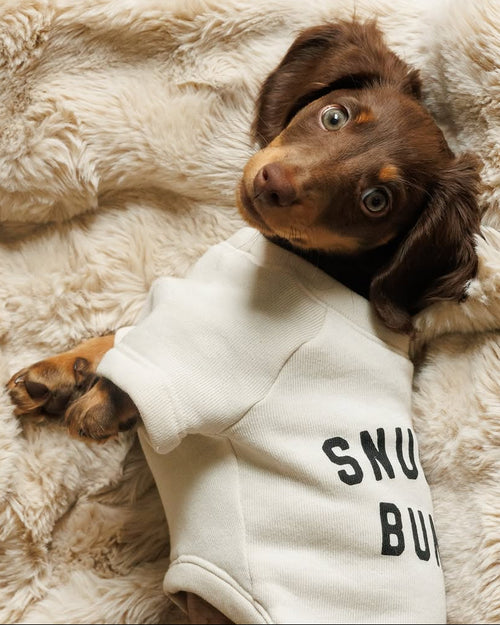 Snuggle Up Dog Sweatshirt