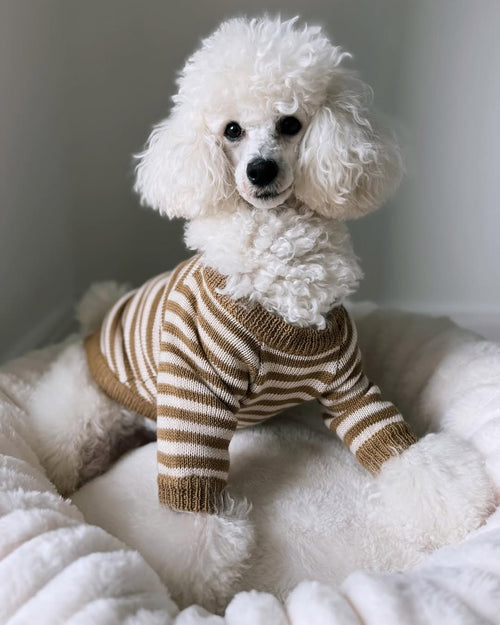 Like A Bandit Nutmeg Striped Dog Sweater