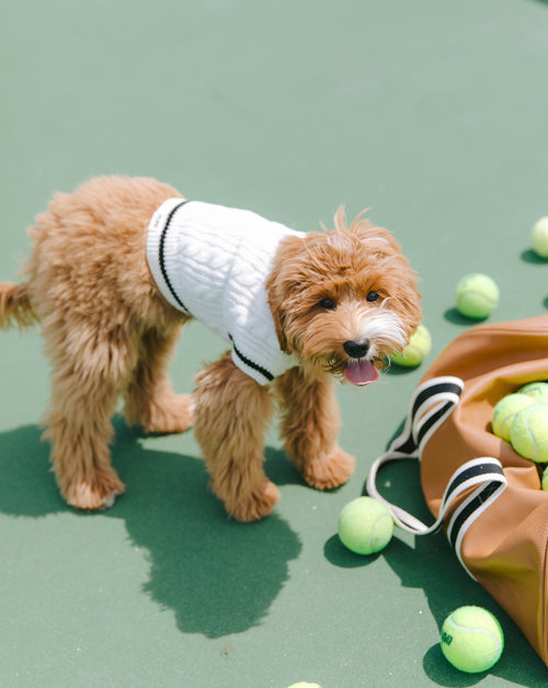 Forty Love Ivory Cable Knit Sweater