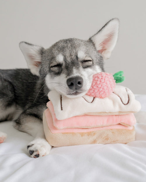 Berry On Top Snuffle Dog Toy