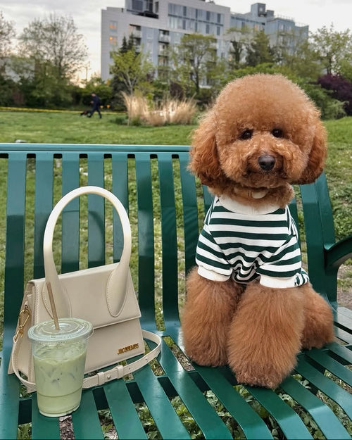Cooper Green + Ivory Striped Dog Sweatshirt