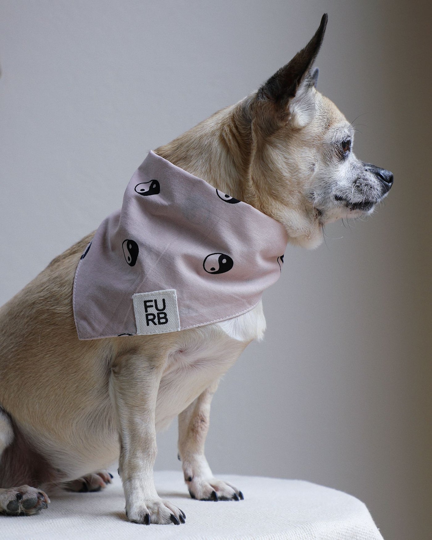 Total Zen Pink Yin Yang Dog Bandana