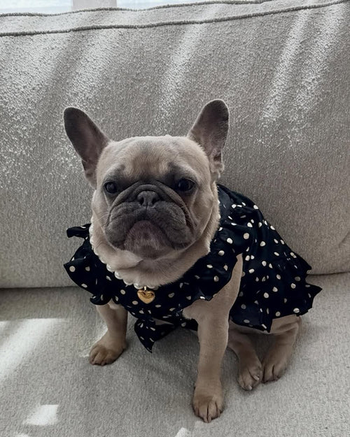Gigi Black + Ivory Polka Dot Dress