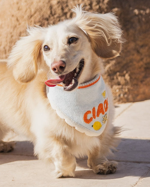 Ciao Bella Dog Bandana