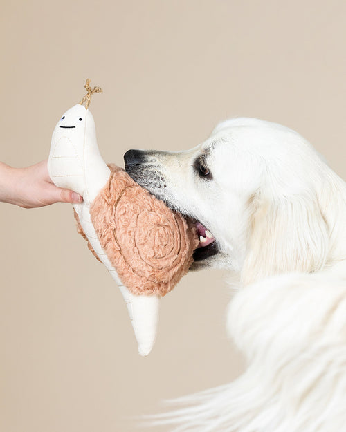 Snail’s Pace Earth Friendly Dog Toy