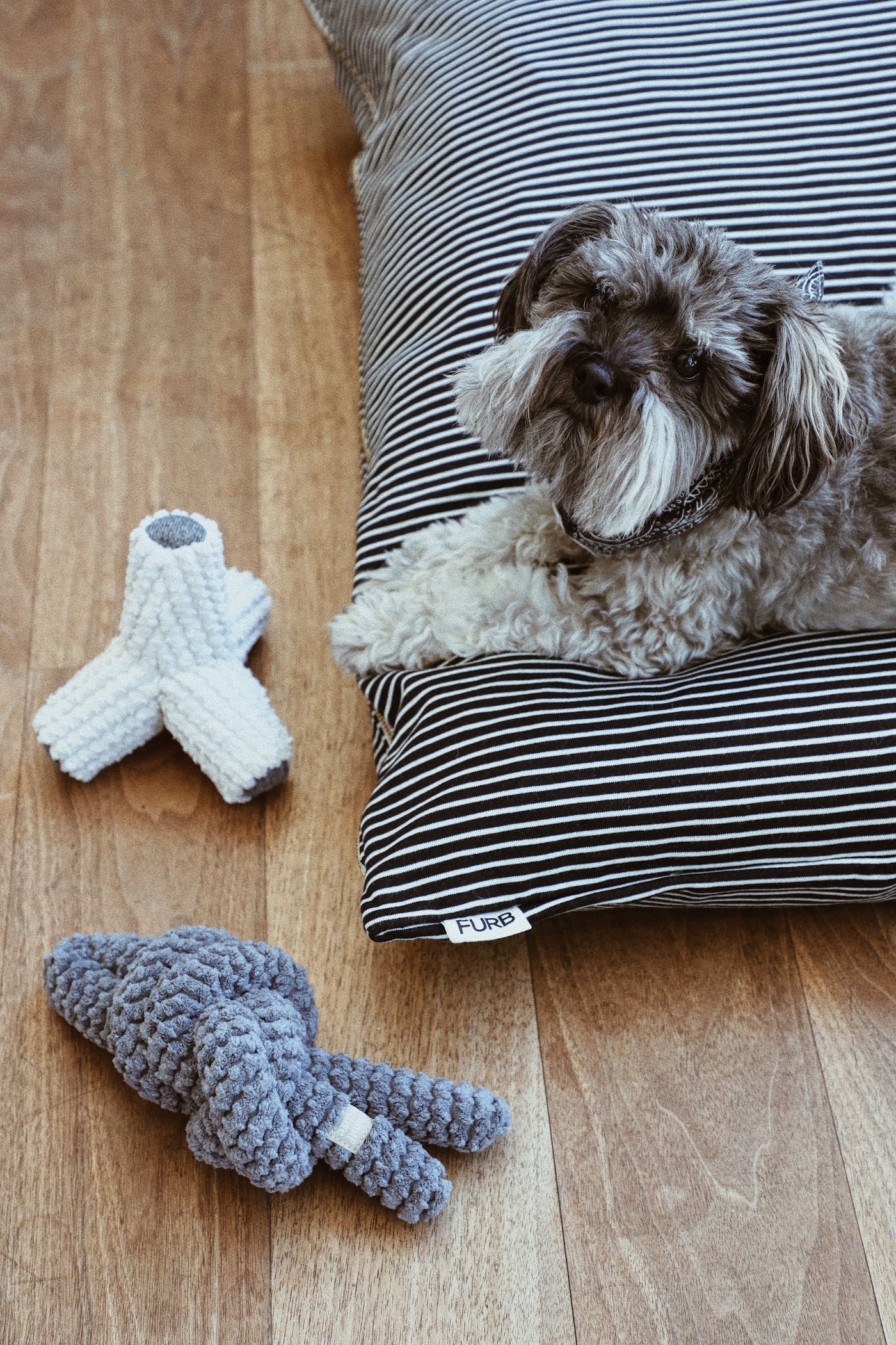 Hello Sailor Black Striped Dog Bed