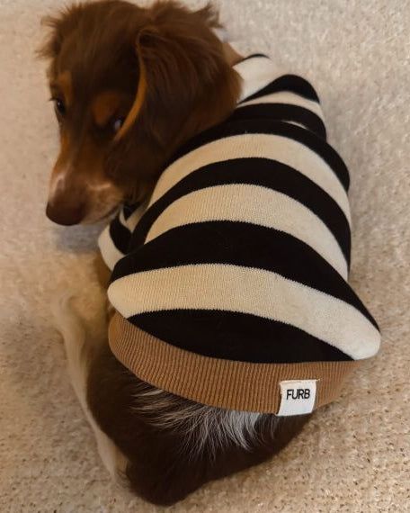 Cooper Black + White Striped Dog Sweatshirt