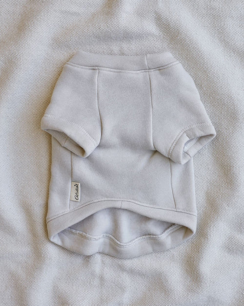 All Smiles Graphic Dog Sweatshirt xxs dog clothes chihuahua