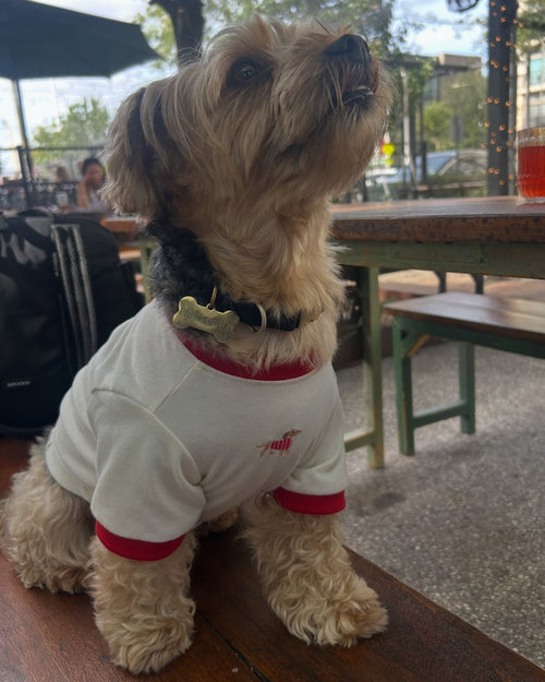 Hot Diggity Dachshund Ringer Tee