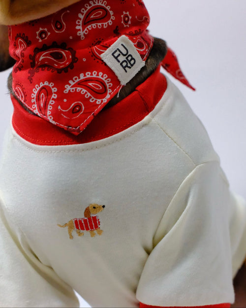 Hot Diggity Dachshund Ringer Tee