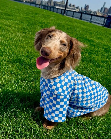 Make a Move Blue Mini Check Print Dog T-Shirt
