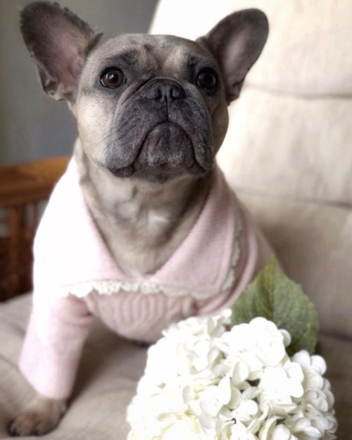 Tea Time Pink Cable Knit Dog Sweater