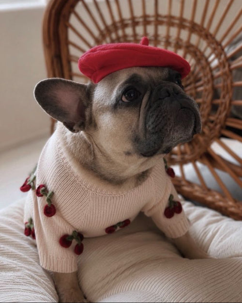 Mon Chéri Blush Cherry Dog Sweater