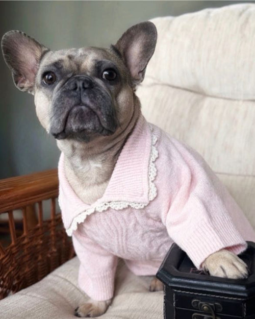 Tea Time Pink Cable Knit Dog Sweater